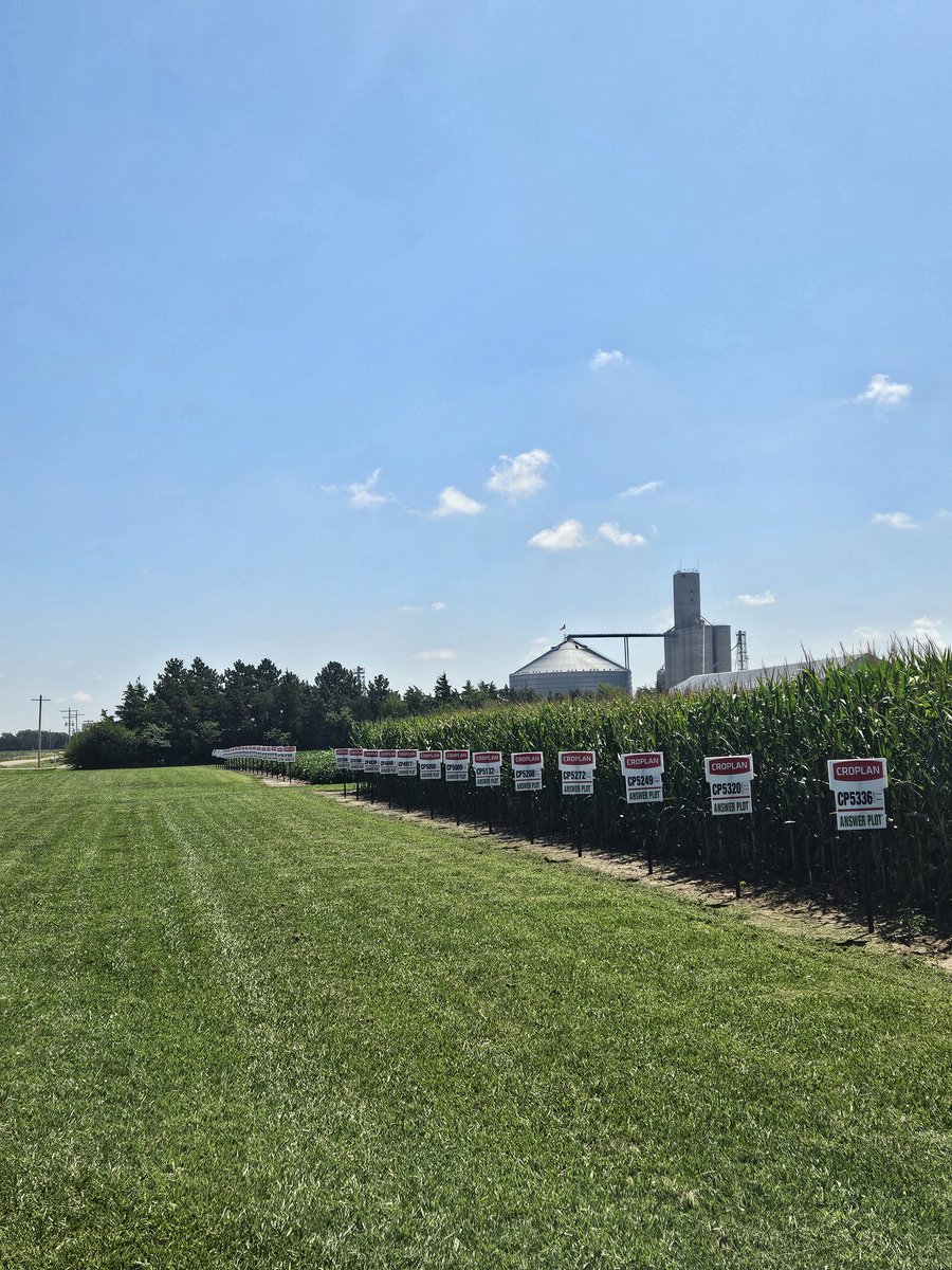 AJ Tomky tweet media