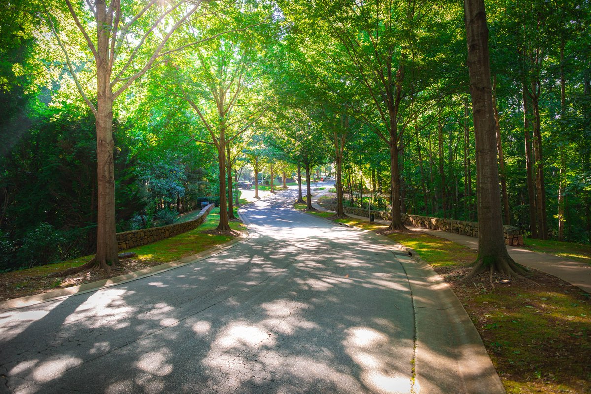 Town of Holly Springs, NC (@tohollysprings) on Twitter photo Making Holly Springs greener is easier than ever! 🌳🌳🌳 The Town offers grant funding to help residents, homeowner associations, & property owners boost the community’s tree canopy through street trees. Applications open Aug. 25-Oct. 4. Learn more ➡️ bit.ly/4165iiR Making Holly Springs greener is easier than ever! 🌳🌳🌳 The Town offers grant funding to help residents, homeowner associations, & property owners boost the community’s tree canopy through street trees. Applications open Aug. 25-Oct. 4. Learn more ➡️ bit.ly/4165iiR