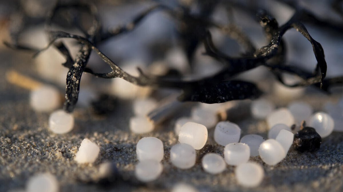 Mermaid’s tears: How tiny plastic pellets are flooding the environment
➡️ go.france24.com/Evl