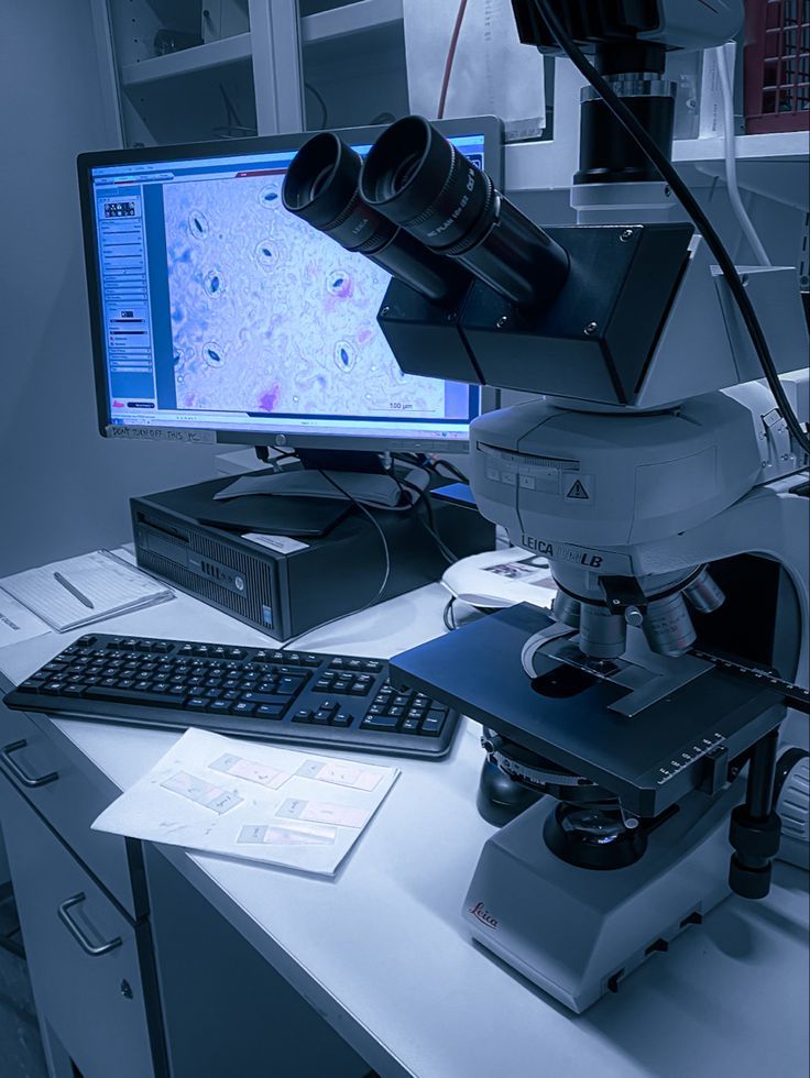 A_gmd7's tweet photo. للمستجدين المقبولين بالتخصص:
1.تخصص المختبرات الطبية (Medical Laboratory Science أو MLS) هو أحد التخصصات الصحية التي تركز على تشخيص الأمراض من خلال تحليل العينات البيولوجية مثل الدم، السائل النخاعي، وسوائل الجسم الأخرى. يعتبر المختبر الطبي عنصرًا أساسيًا في النظام الصحي. https://t.co/O0yGbTDf71