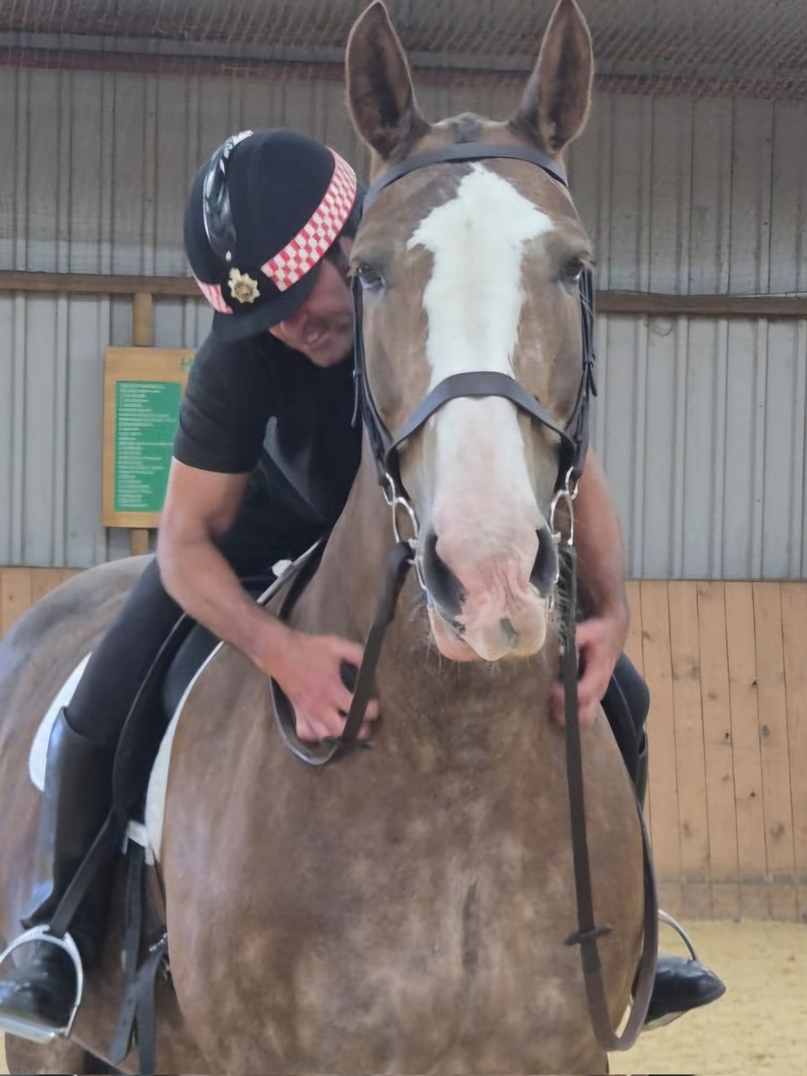 MarkEd715's tweet photo. #PHPollard enjoying a scratch before our lesson, during which we had a disagreement about which way to turn!  He wanted to head for his mates, while I wanted to go the opposite way! @CityHorses https://t.co/JbwrbAC3dS