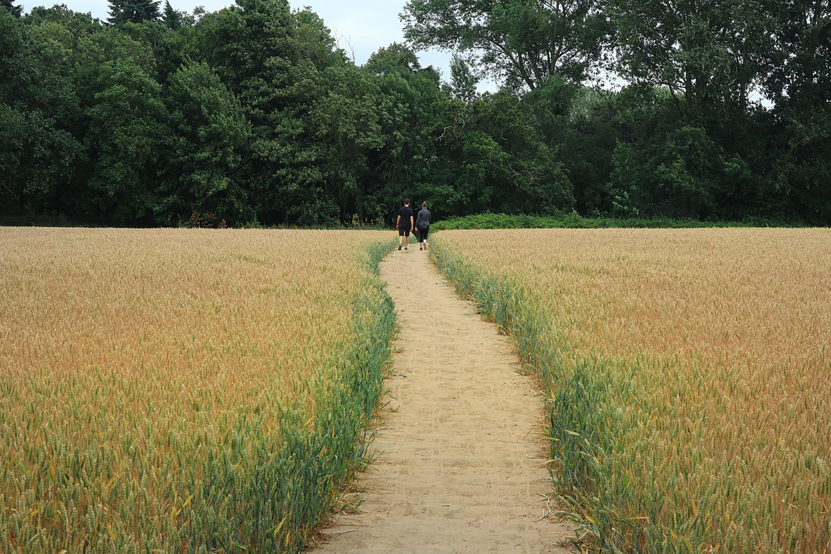 RobRambler214's tweet image. The fab #PinMill ❤️ 🚶 through 🌳 by the #RiverOrwell ⛵ heading to #FrestonTower via #Woolverstone &amp;amp; St Michael's #Church then back to #Chelmondiston #Suffolk #VisitSuffolk #Boats #PhotosofBritain #Summertime #Countryside #VisitBritain #YourBritain #VisitEngland #England
