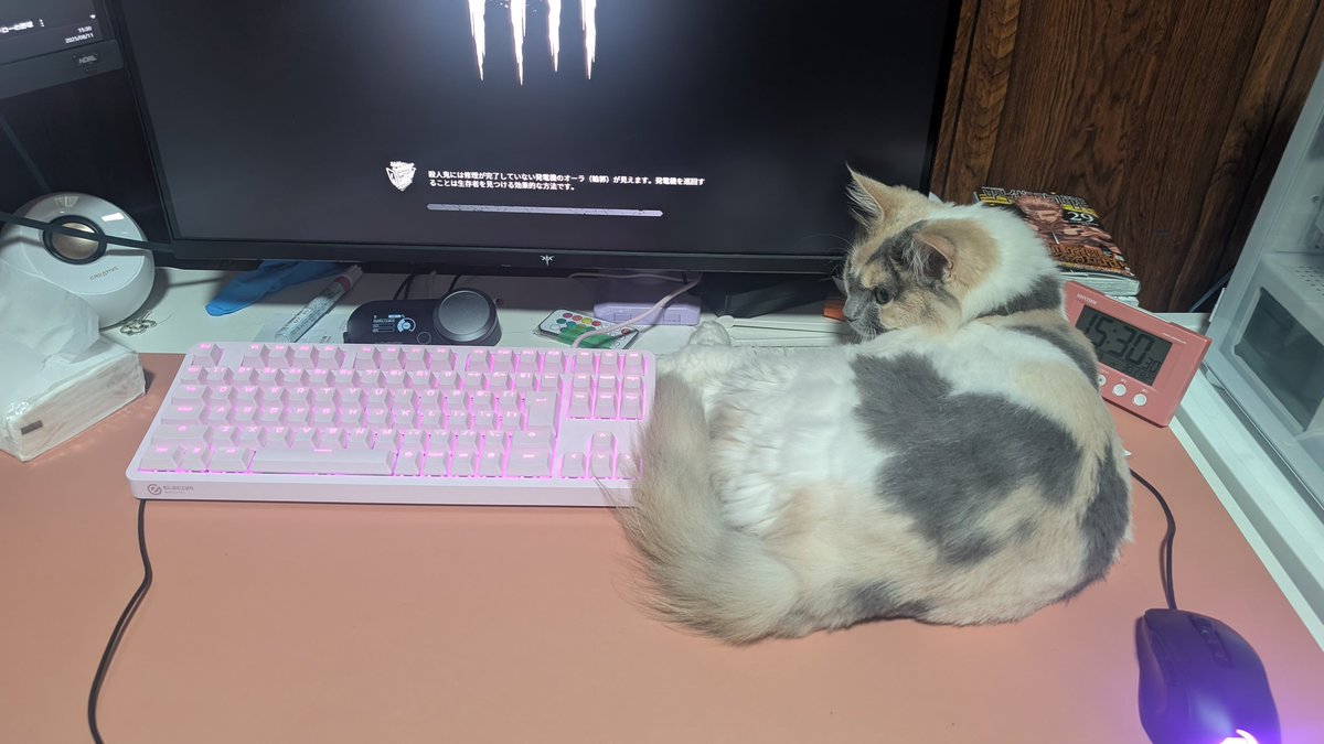onikukanmi's tweet photo. キーマウの練習にDbDキラーがいい感じな気がしてソロカスタムで何度か練習
いざ公開マッチ！
準備完了押した瞬間きてくつろぎだして笑った😂動かせないし、体に当たって右クリ誤爆した https://t.co/117Wsfdjpr