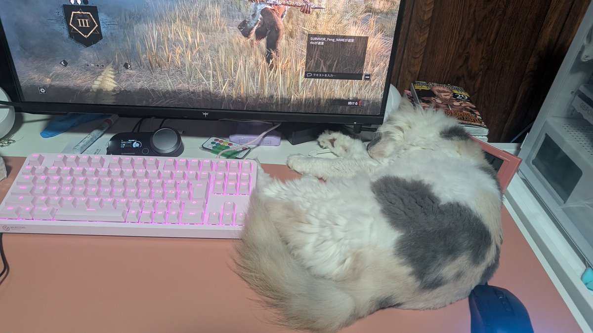 onikukanmi's tweet photo. キーマウの練習にDbDキラーがいい感じな気がしてソロカスタムで何度か練習
いざ公開マッチ！
準備完了押した瞬間きてくつろぎだして笑った😂動かせないし、体に当たって右クリ誤爆した https://t.co/117Wsfdjpr