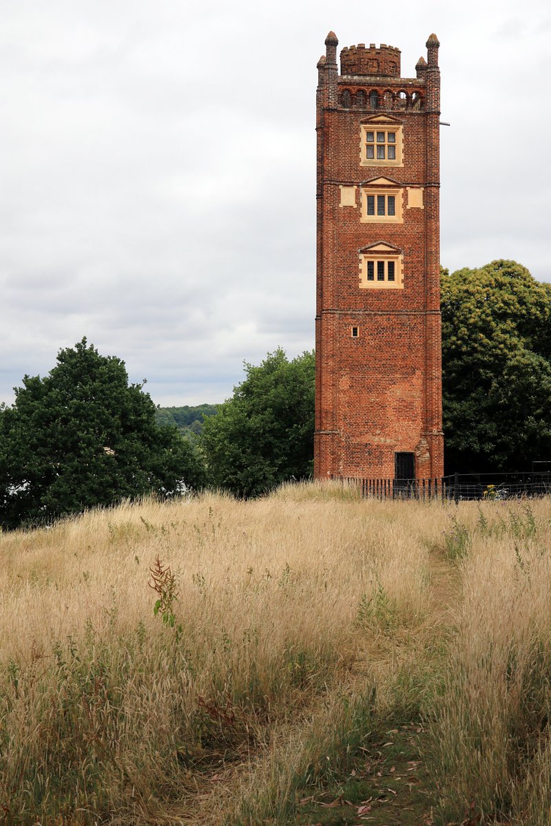 RobRambler214's tweet image. The fab #PinMill ❤️ 🚶 through 🌳 by the #RiverOrwell ⛵ heading to #FrestonTower via #Woolverstone &amp;amp; St Michael's #Church then back to #Chelmondiston #Suffolk #VisitSuffolk #Boats #PhotosofBritain #Summertime #Countryside #VisitBritain #YourBritain #VisitEngland #England