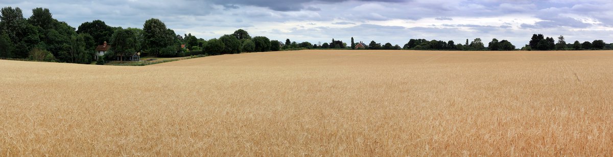 RobRambler214's tweet image. The fab #PinMill ❤️ 🚶 through 🌳 by the #RiverOrwell ⛵ heading to #FrestonTower via #Woolverstone &amp;amp; St Michael's #Church then back to #Chelmondiston #Suffolk #VisitSuffolk #Boats #PhotosofBritain #Summertime #Countryside #VisitBritain #YourBritain #VisitEngland #England