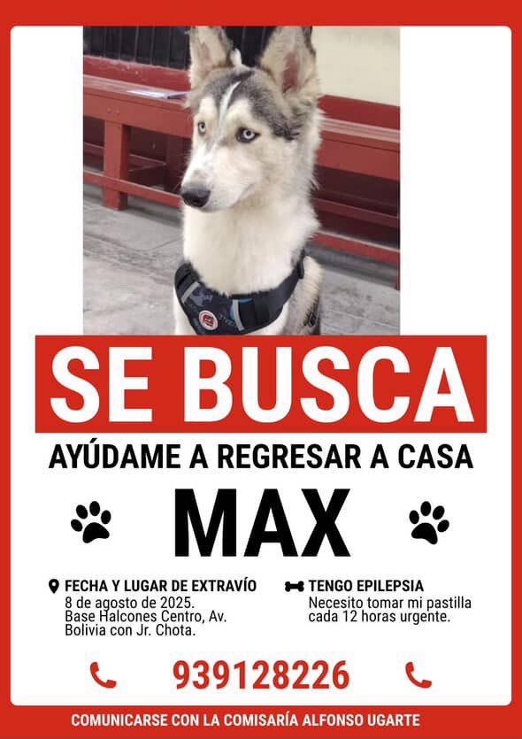 SE BUSCA URGENTE 
COMPARTIR