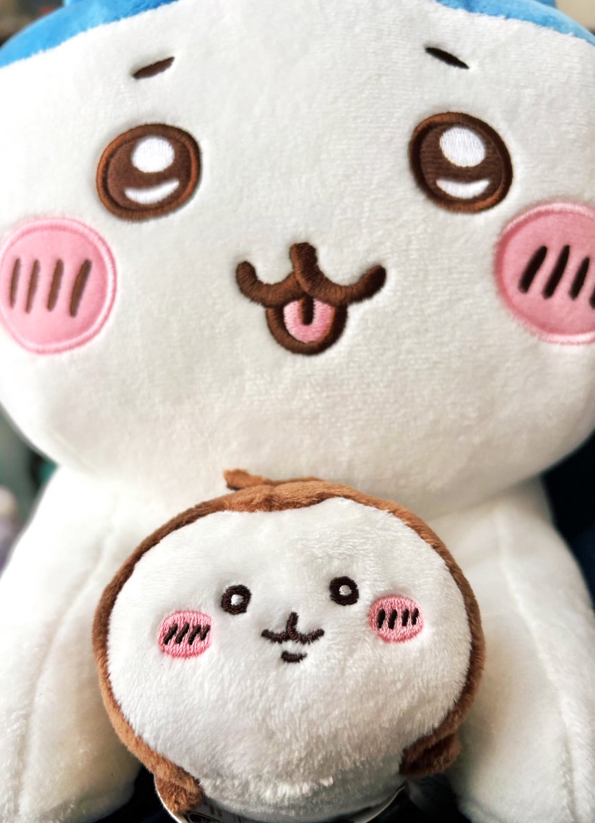 ♡ちいか♡ページ ヨヘ寿司@ちい活中 (@c_like_) / Posts / X