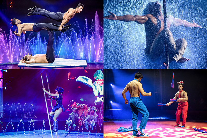 Nits de Circ apuja el teló aquesta nit a Besalú superant les 9.000 entrades venudes i amb una pista aquàtica amb fonts dansants i pluja artificial, que compta amb 18 artistes de 6 nacionalitats en 9 atraccions d'excepció
viladeroses.cat/nits-de-circ-a…