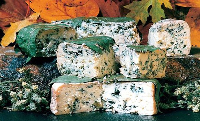 Fundación Toro Lidia tweet media