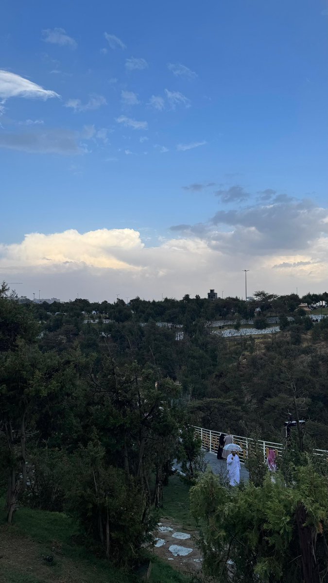 مرحباً هيل عدّ السيل، هُنا الباحة ⛰️💚

استمتع بوقتي حيث يلتقي عبق التاريخ بجمال الطبيعة، وتتوزع القرى بين الجبال والوديان في لوحة لا مثيل لها.