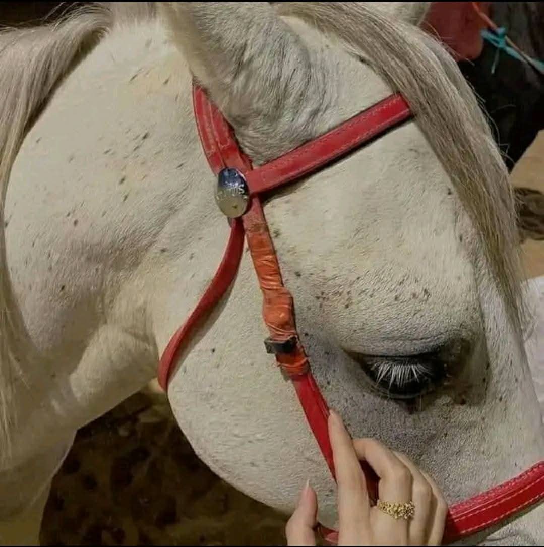 من شدة حقدك أنت تراني عدوك...ومن قوة حكمتي أنا لا أراك اصلا ..