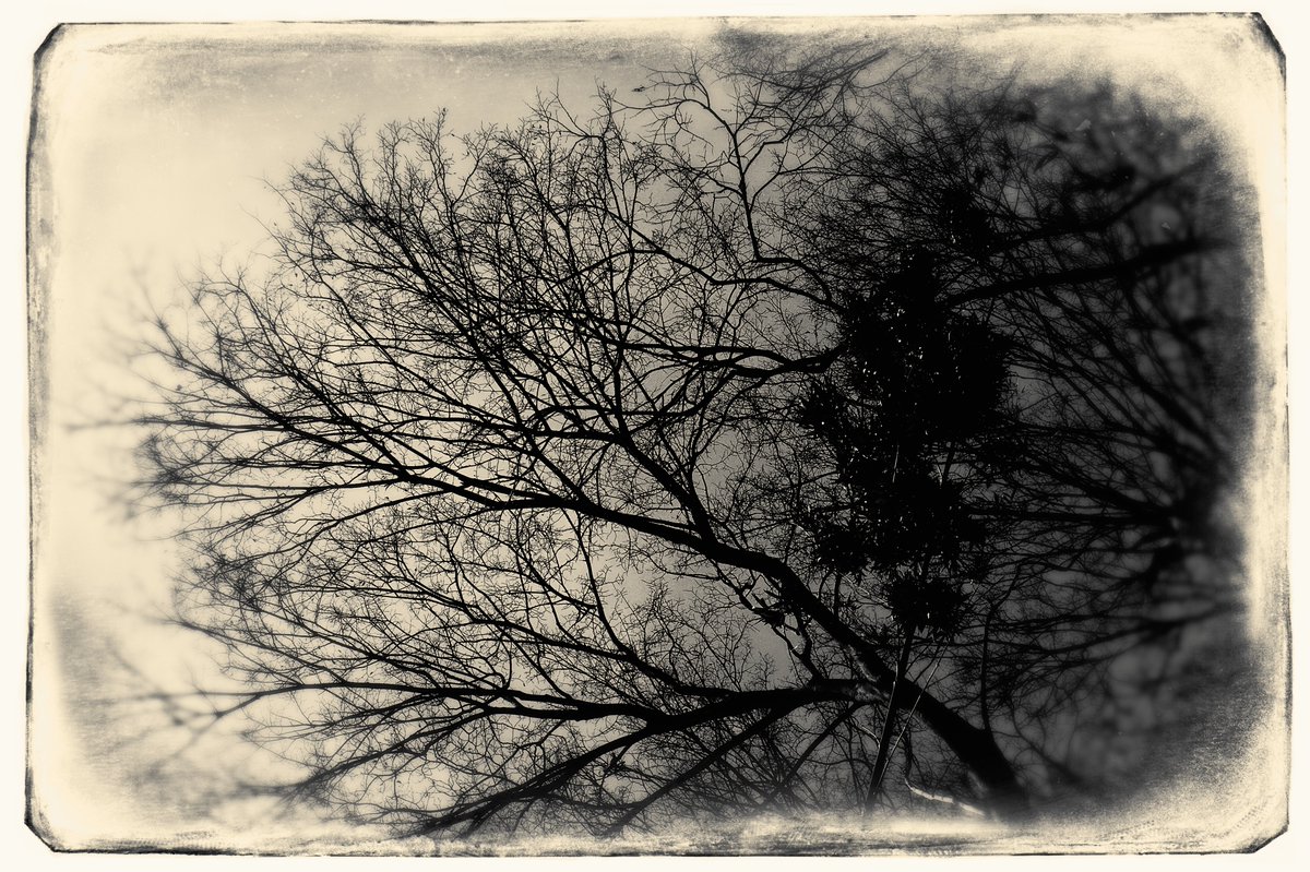 Shuichi Machimoto 町本修一。 (@machimoto19801) on Twitter photo 