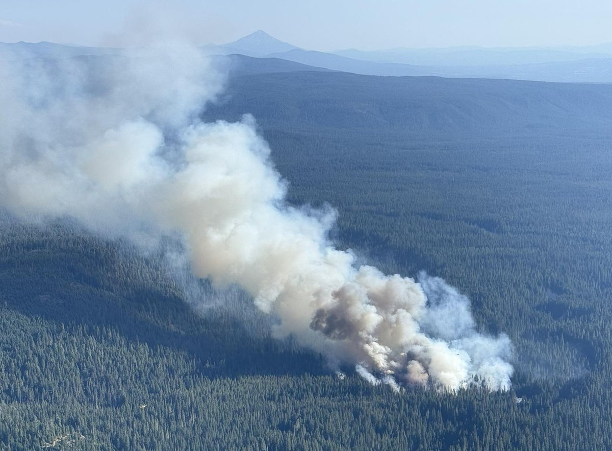 Jackson County Sheriff Oregon tweet media