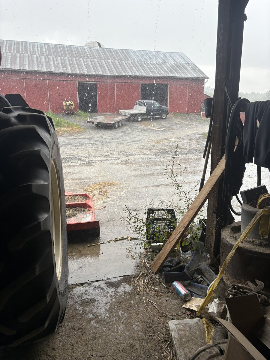 Bad Idea Farms tweet media