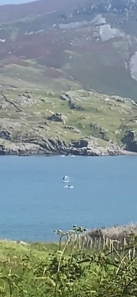 Laura McDonnell tweet media