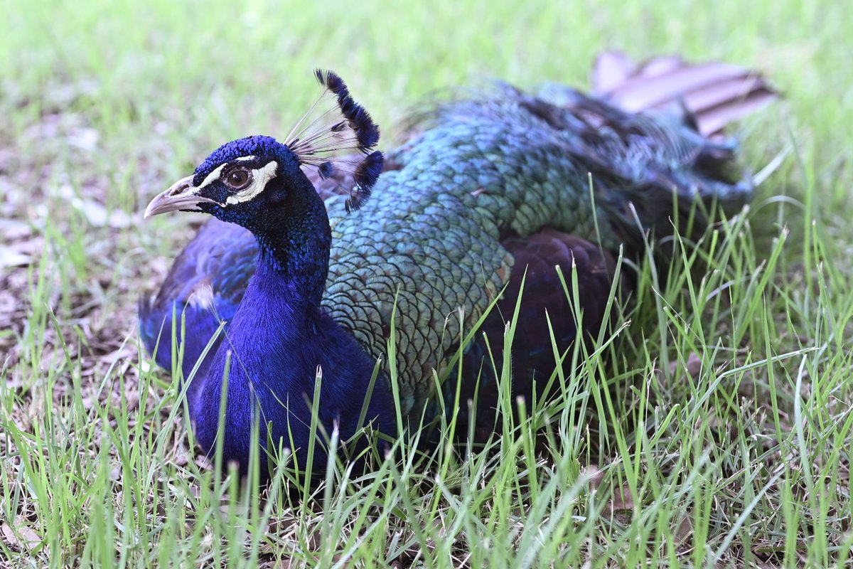 luis (@ldavilabas) on Twitter photo 