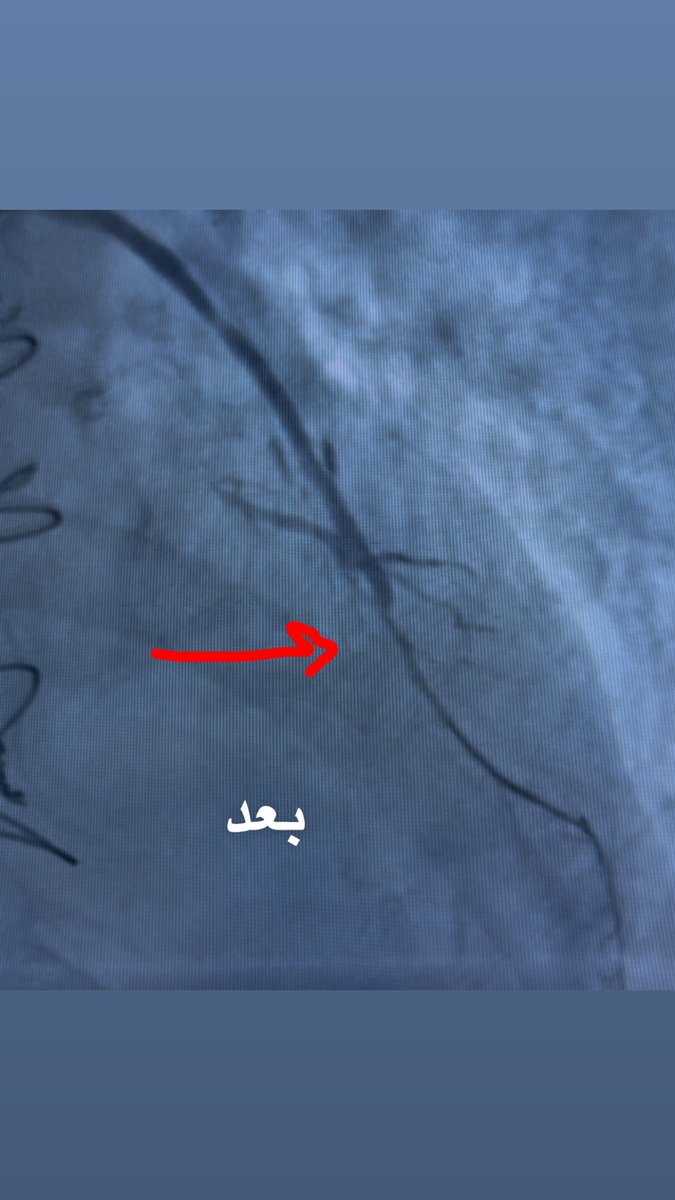 د. فادي الريفي tweet media
