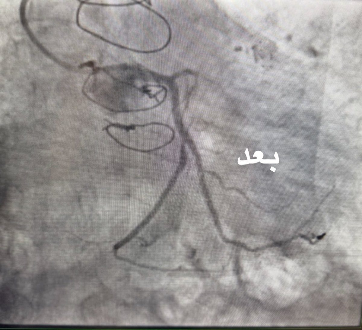د. فادي الريفي tweet media