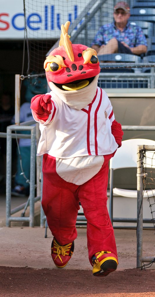Striker the Fire Frog tweet media