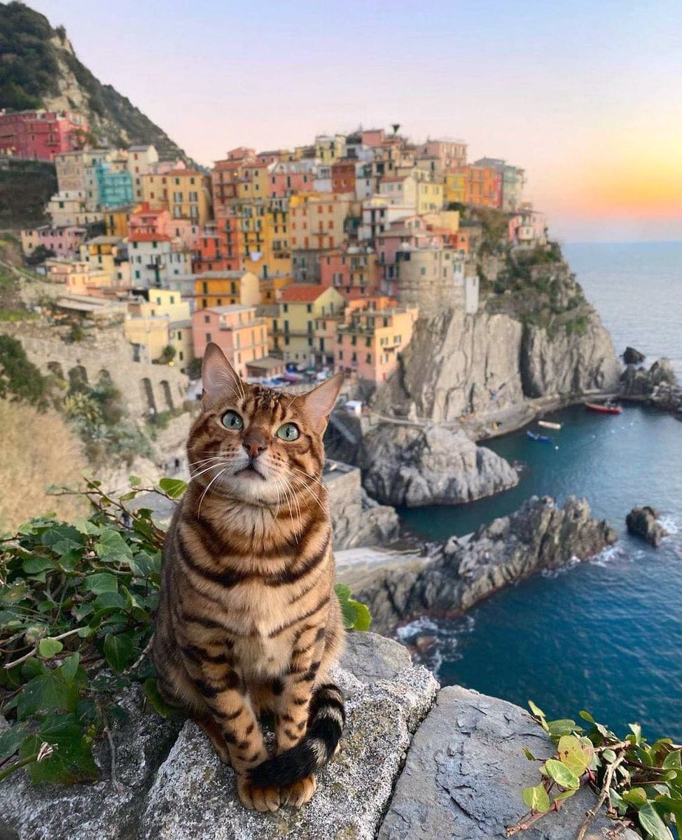 Manarola, Cinque Terre