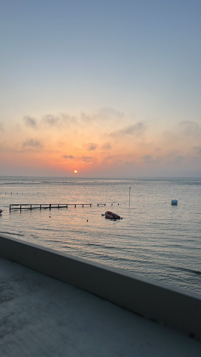 Kit Farrell tweet media