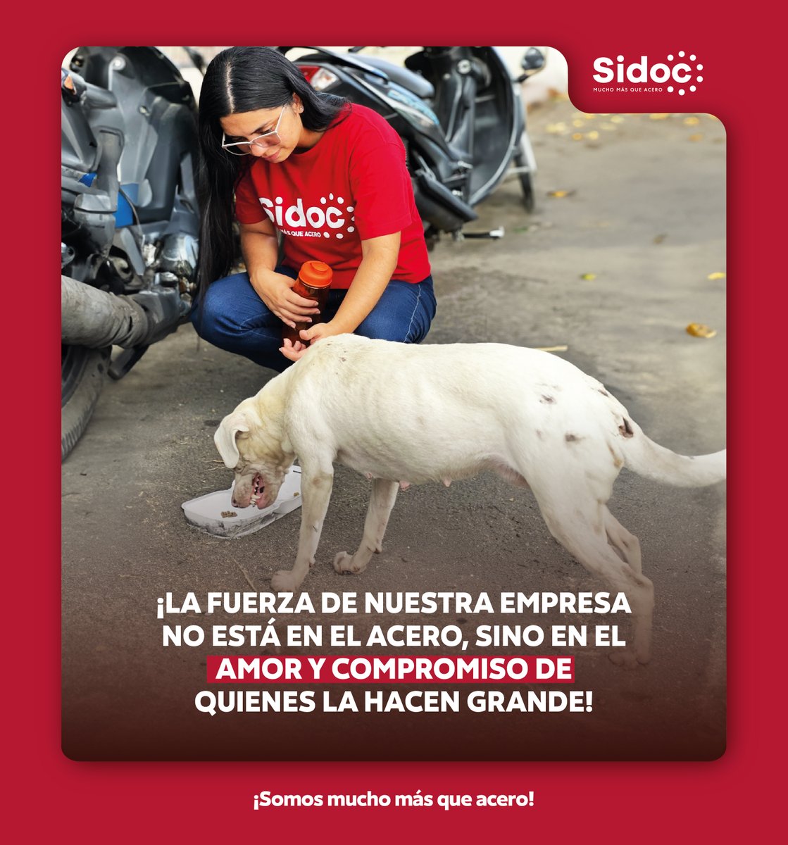 El acero nos da fuerza, pero el corazón de nuestra gente nos hace invencibles. Somos más que acero, somos una familia que cree en el poder del amor, esfuerzo y dedicación. En cada acción, reflejamos lo que realmente nos define: UN EQUIPO CON CORAZÓN❤️🤍