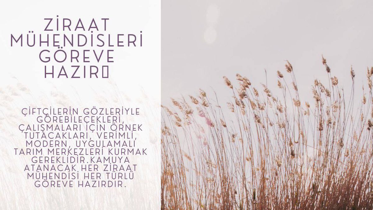 Tuna Han ULUDAĞ (@tunauludagg) on Twitter photo NORM KADROLARDAKİ ZİRAAT MÜHENDİSLERİ SAYISININ EKSİKLİĞİ ORTADA. TAVAN SEVİYEDE ZİRAAT MÜHENDİSİ İSTİHDAMI TALEP EDİYORUZ
<a href="/TCTarim/">T.C. Tarım ve Orman Bakanlığı</a> <a href="/ibrahimyumakli/">İbrahim Yumaklı</a> <a href="/ahmtbgc/">Dr. Ahmet Bağcı</a> <a href="/tarimormanpgm/">Personel Genel Müdürlüğü</a>
<a href="/Seyfullahaslntk/">Seyfullah Arslantürk</a> <a href="/bekirgizligider/">Ebubekir GİZLİGİDER</a>
<a href="/AhmetGumen/">Ahmet GÜMEN</a>
<a href="/akadirpolat1/">Abdulkadir Polat</a>
#Tarıma2BinZiraatMüh NORM KADROLARDAKİ ZİRAAT MÜHENDİSLERİ SAYISININ EKSİKLİĞİ ORTADA. TAVAN SEVİYEDE ZİRAAT MÜHENDİSİ İSTİHDAMI TALEP EDİYORUZ
<a href="/TCTarim/">T.C. Tarım ve Orman Bakanlığı</a> <a href="/ibrahimyumakli/">İbrahim Yumaklı</a> <a href="/ahmtbgc/">Dr. Ahmet Bağcı</a> <a href="/tarimormanpgm/">Personel Genel Müdürlüğü</a>
<a href="/Seyfullahaslntk/">Seyfullah Arslantürk</a> <a href="/bekirgizligider/">Ebubekir GİZLİGİDER</a>
<a href="/AhmetGumen/">Ahmet GÜMEN</a>
<a href="/akadirpolat1/">Abdulkadir Polat</a>
#Tarıma2BinZiraatMüh