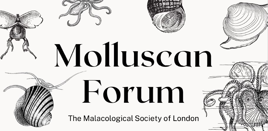 Please share mollusc friends 🐌🐙🐚🦪 
Now the World Congress of Malacology 2025 is over 😢time to plan for the next mollusc meeting😀  
The Molluscan Forum! 
⏰Wed 5th Nov 2025 
🏟️Natural History Museum 
⚠️Deadline for applications = 19th Sept 
More info➡️malacsoc.org.uk/molluscan-foru…