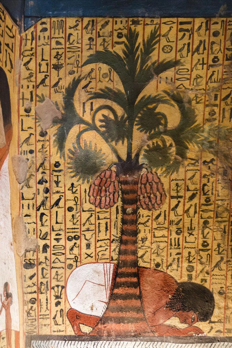 TT3:
Peshedu drinking from the pool of wisdom