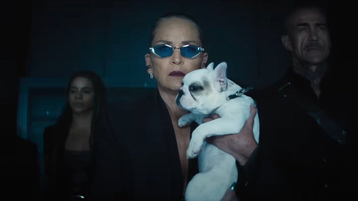 Slicked back Sharon Stone is unhinged in #Nobody2. It’s obvious the director just turned the camera on and pointed it at her and just let her do whatever the hell she felt like doing. It even works sometimes because of just how cartoonish everything else is.