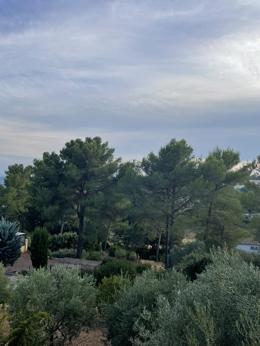 MassiereSylvie's tweet photo. Fin de journée à #Flayosc #Var https://t.co/9dEgIWNyGR