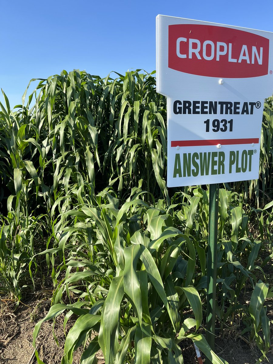 jcjackson9697's tweet photo. Fantastic forage… https://t.co/2vGue8Zpco