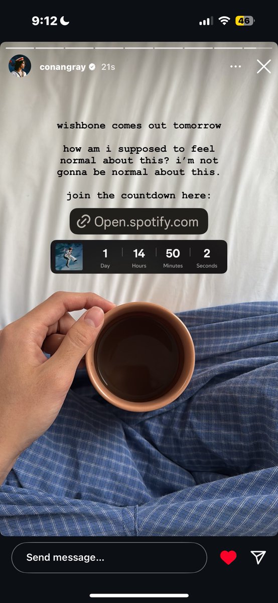 conangraysource's tweet image. ⚓️ • conan via instagram story!!

how is everyone feeling about wishbone tomorrow 🌊