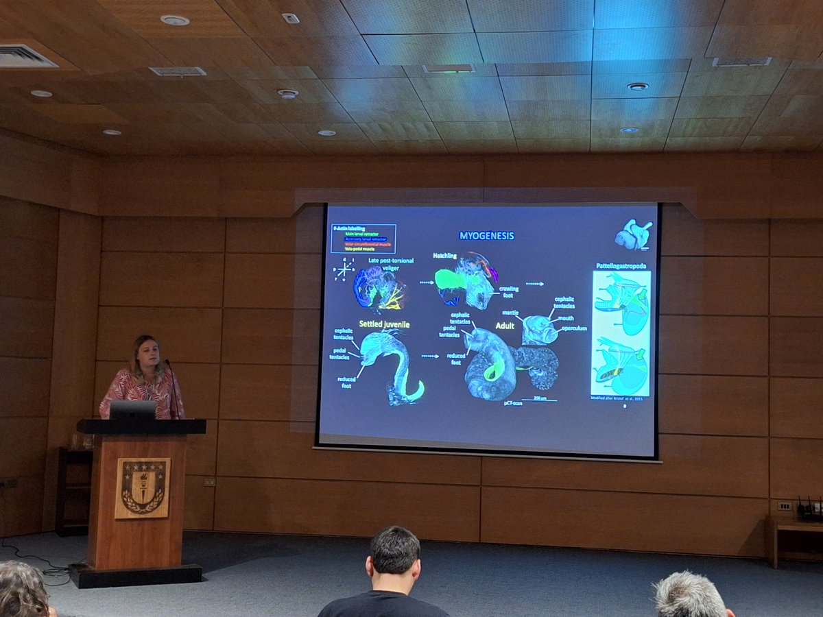 Super interesting talk about sessile gastropods with a rather typical development before settling by <a href="/Gudrun_Schwarze/">Gudrun Schwarze</a> at the #icim6