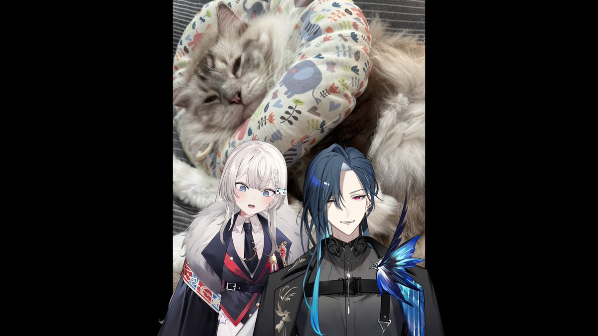 明天大約下午兩點半左右會跟 <a href="/GraalTimaeus/">格萊伊𝓖𝓻𝓪𝓪𝓵 🦋 𝓣𝓲𝓶𝓪𝓮𝓾𝓼 諦覓司</a> 一起去猴硐貓村看可愛的貓貓(就像下面的示意圖)🥰🥰🥰

這次會是一次比較輕鬆愜意的旅行，大家一起看看可愛的貓咪療育放鬆吧