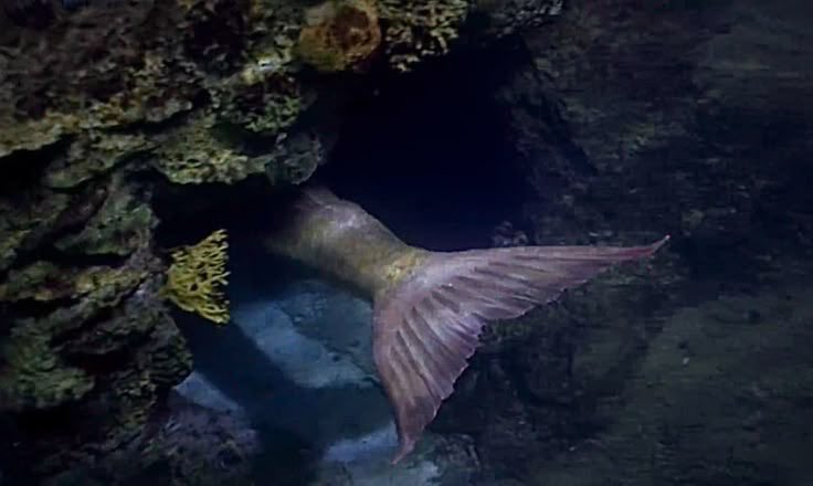 ⚝ ⚝ ⚝ (@thinkfloating) on Twitter photo 