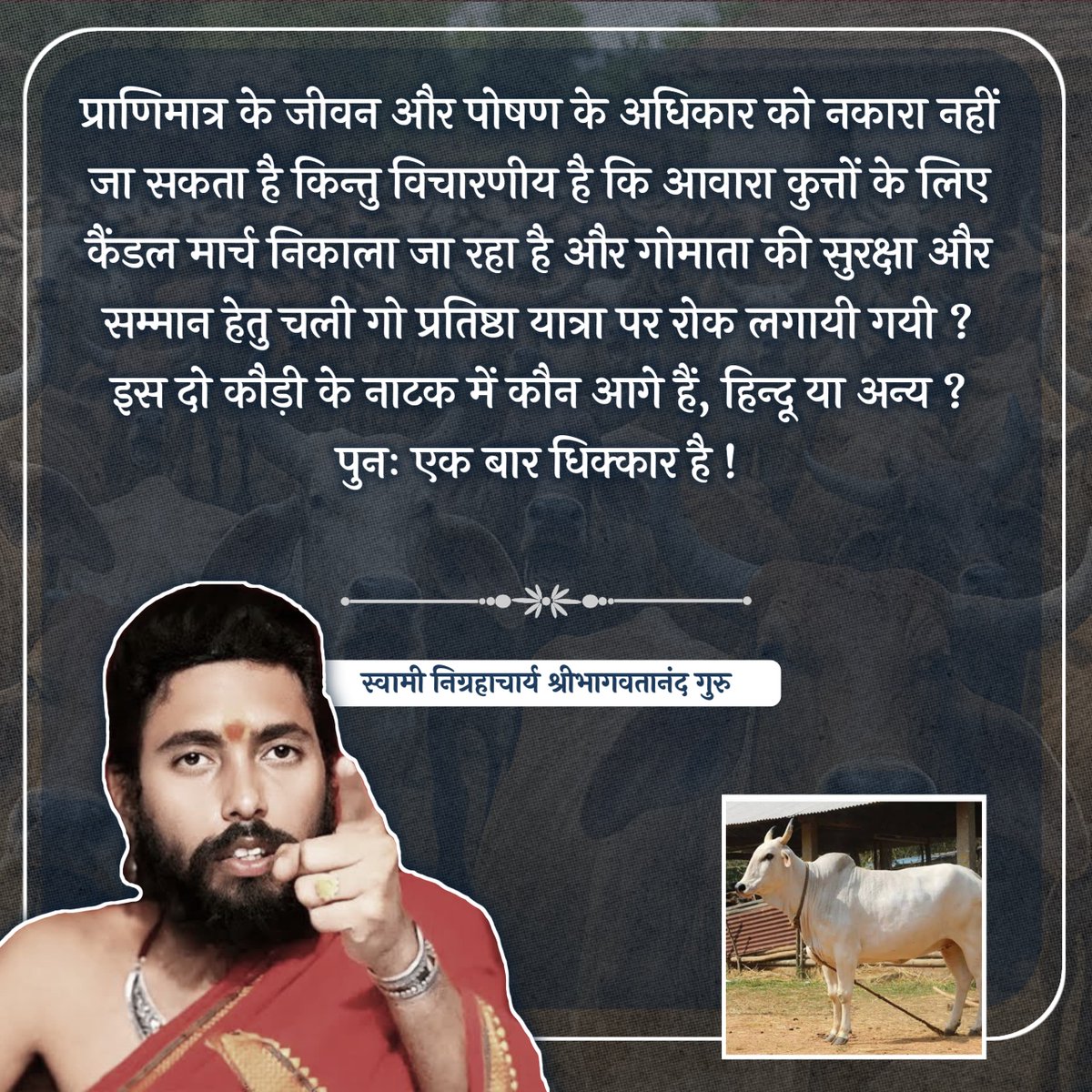 #निग्रहाचार्य #शंकराचार्य #Nigrahacharya