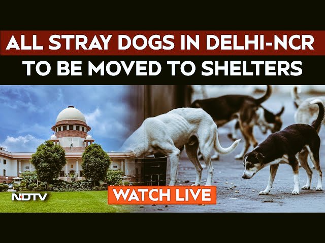 PavanKumar_HQ's tweet photo. 🐾 As a student, I can’t support removing every stray dog from our streets.They’re part of our community, and mass confinement is cruel &amp; impractical.We need humane, science-based solutions sterilization, vaccination, awareness not heartbreak. #savestraydogs https://t.co/WWImomQs0h