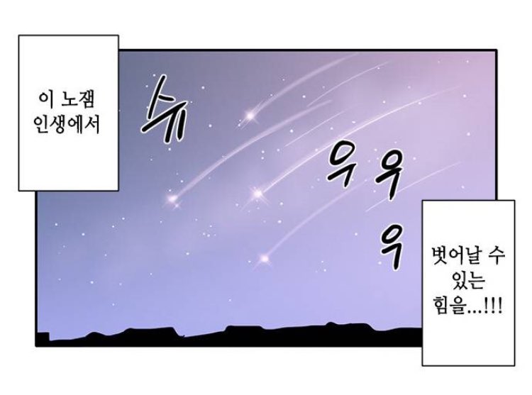 느오깅이 (IQ300) tweet media