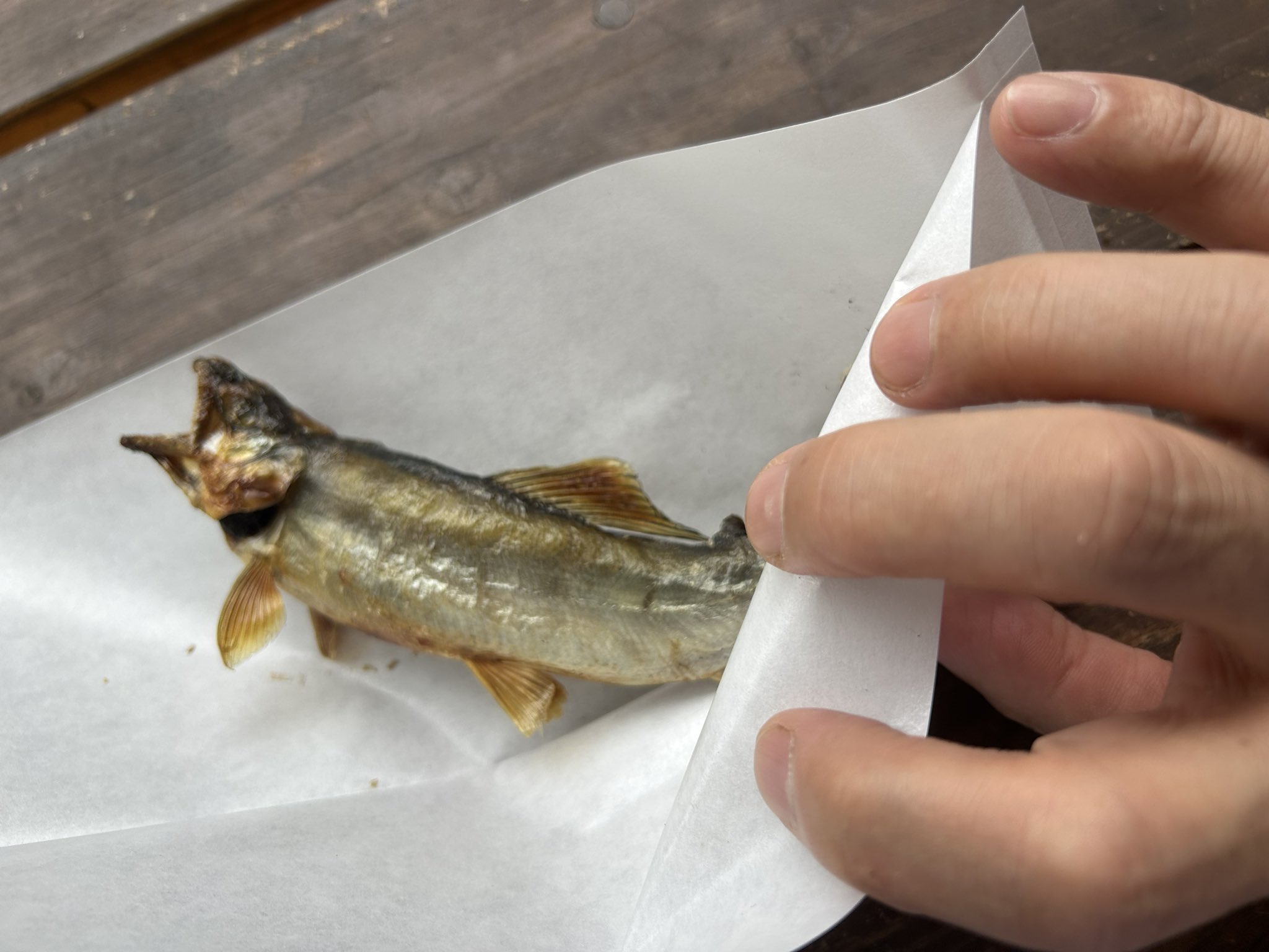 あゆの塩焼きさま確認ページ♡ 訳あり あゆの塩焼き 15尾 あゆ 鮎 アユ 鮎の塩焼き アユの
