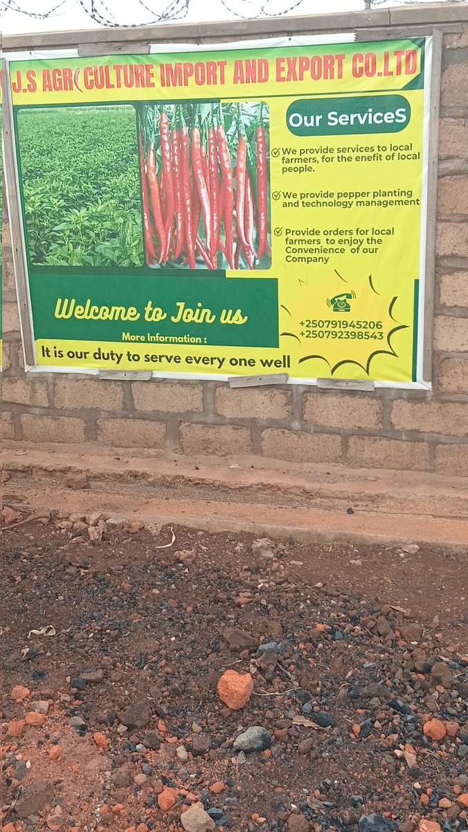 Fiston135's tweet photo. 🌍 #InternationalYouthDay, with the @YEAN_Agro YEFFA Project, we saw proof that agriculture is the future for youth!

From cabbage fields 🥬 to chilli exports 🌶️, young people can innovate, earn, and lead in feeding the world.

💪 The land is waiting — are you ready?
#YouthInAgri https://t.co/TwsaJ6jw86