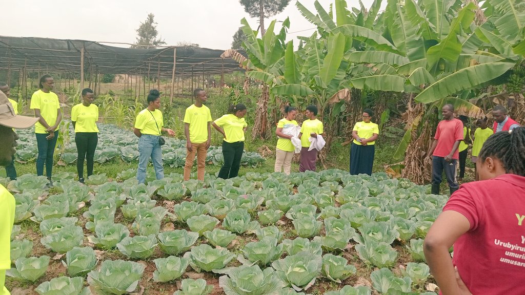 Fiston135's tweet photo. 🌍 #InternationalYouthDay, with the @YEAN_Agro YEFFA Project, we saw proof that agriculture is the future for youth!

From cabbage fields 🥬 to chilli exports 🌶️, young people can innovate, earn, and lead in feeding the world.

💪 The land is waiting — are you ready?
#YouthInAgri https://t.co/TwsaJ6jw86