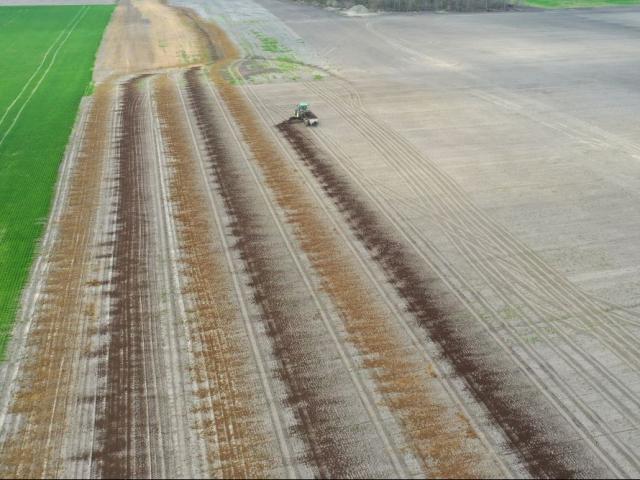 A great tool to capture nutrients after applying manure following wheat harvest is planting cover crops. Learn more about common cover crop species and best practices for planting before or after manure is spread at agcrops.osu.edu/newsletter/cor…
#wheat #manure #covercrops