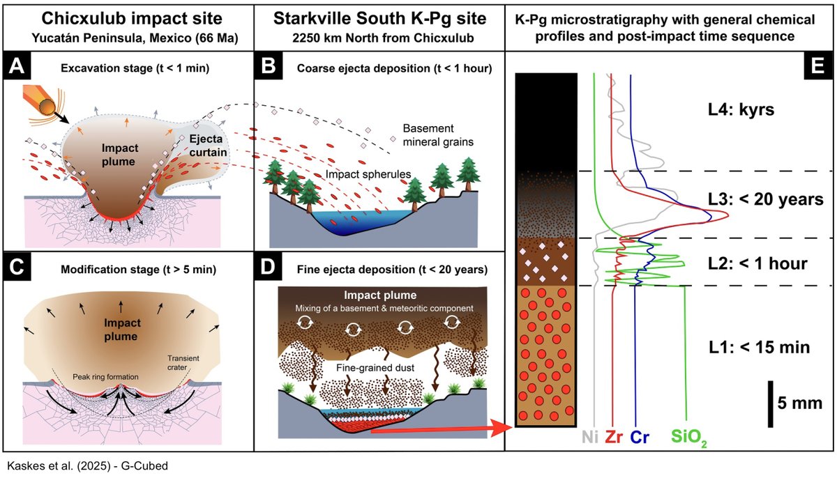 Pim Kaskes☄️ tweet media