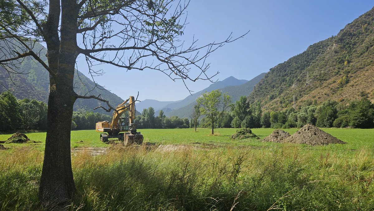 🏞️ Hem iniciat els treballs de restauració del Pla de Salito al <a href="/pnaltpirineu/">Parc Natural de l'Alt Pirineu</a>.

Millorarà la fauna i flora protegida lligades a ambients aigualosos de poca fondària com la planta aquàtica Hippuris vulgaris, que té aquí la seva única població a Catalunya.

#NextGenerationEU
