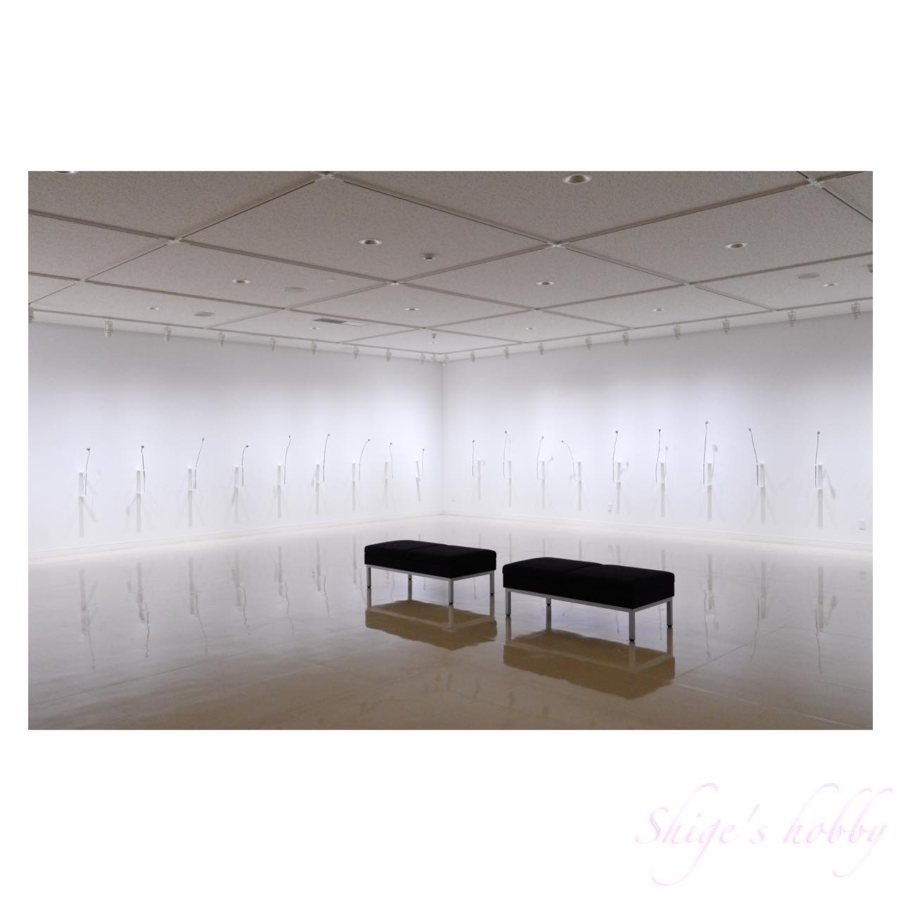 斎藤義重、WORK、希少画集画、新品額装付、状態良好 shige_art on X: 