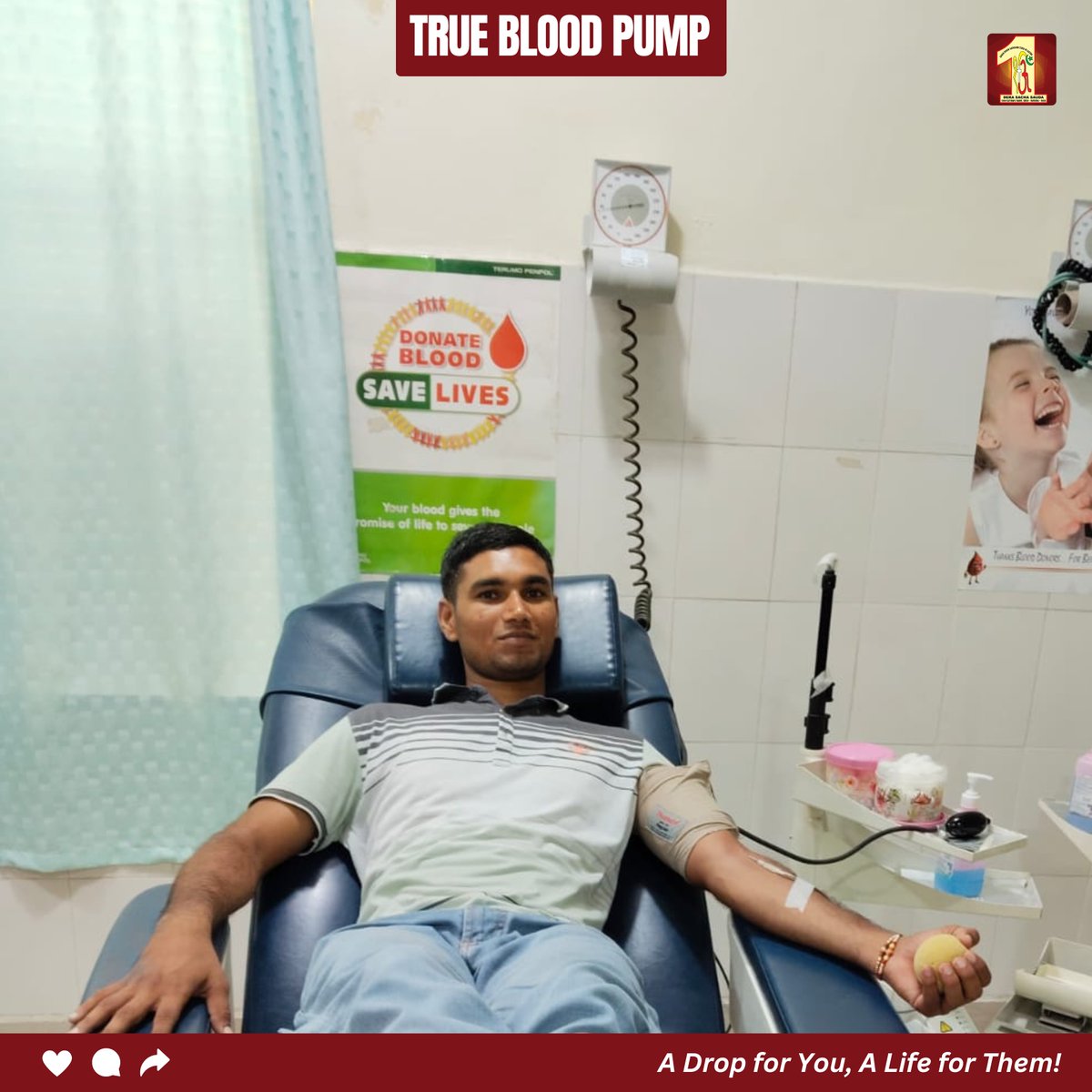 DSSNewsUpdates's tweet photo. In Kaithal, volunteers honoured a beloved’s memory by planting a fruitful tree on their ashes and donating blood. The tree will nourish the earth for years to come, while the blood will support patients in need — a true blend of care for nature and humanity.

#DeraSachaSauda #SaintMSG #BloodDonation #TreePlantation #GreenEarth #LifeBeyondLife #Kaithal #GurmeetRamRahim