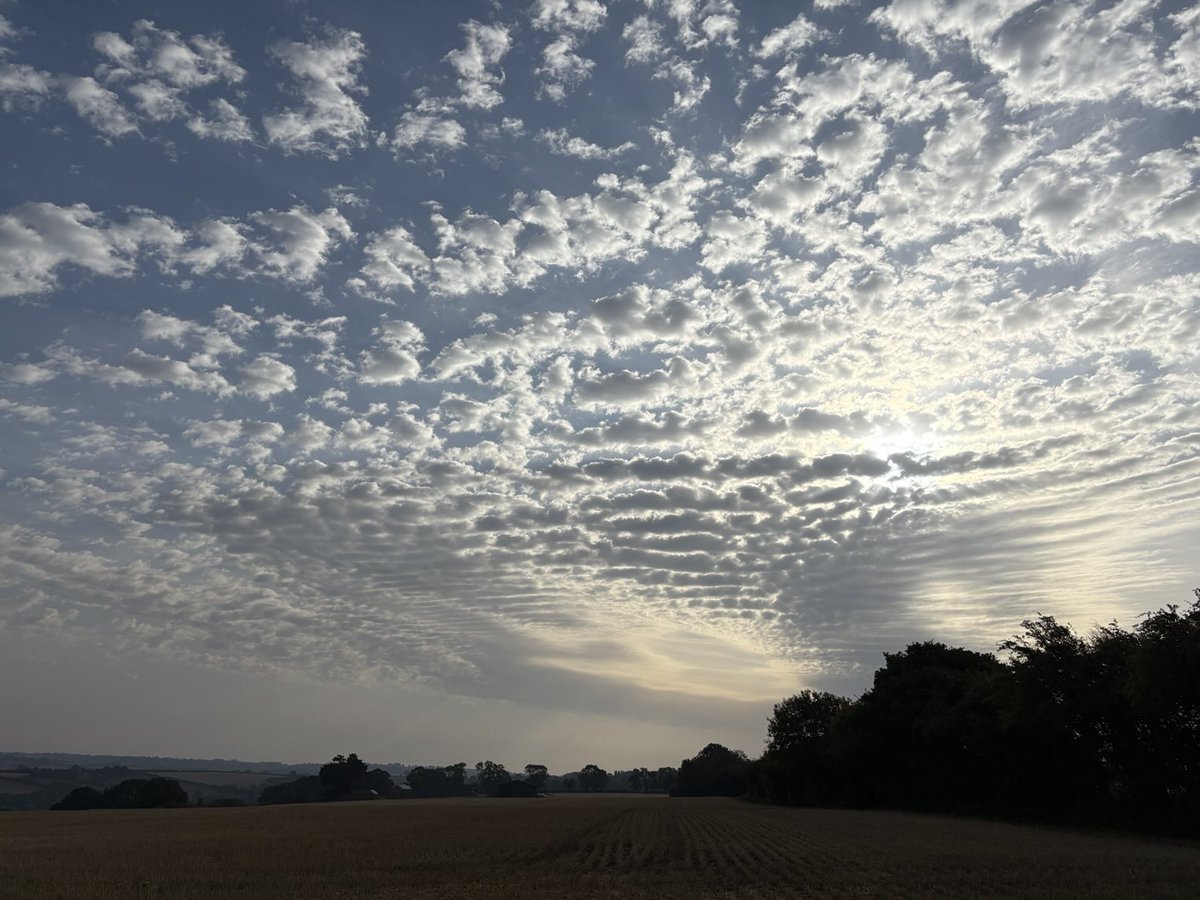 takatoriward's tweet photo. 今朝の今そら

#イマソラ #지금하늘 #morningwalk #photooftheday https://t.co/DwlSgiTvPX