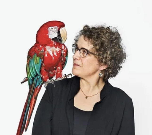 Philosophy of AI tweet media